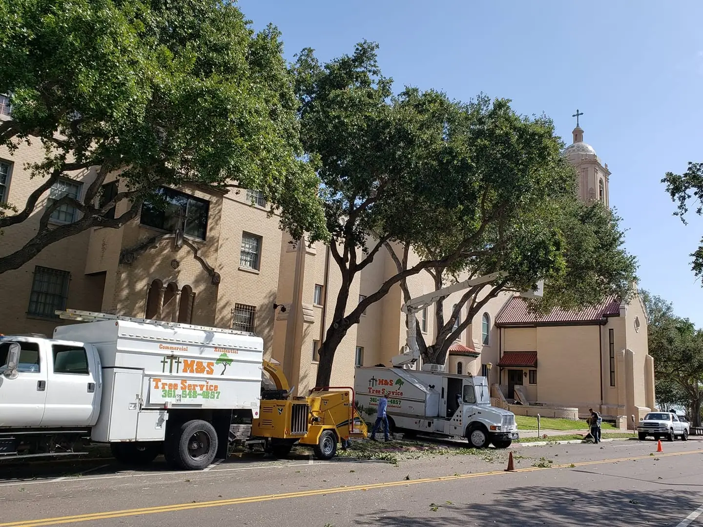 M&S trucks working the oaks at a church