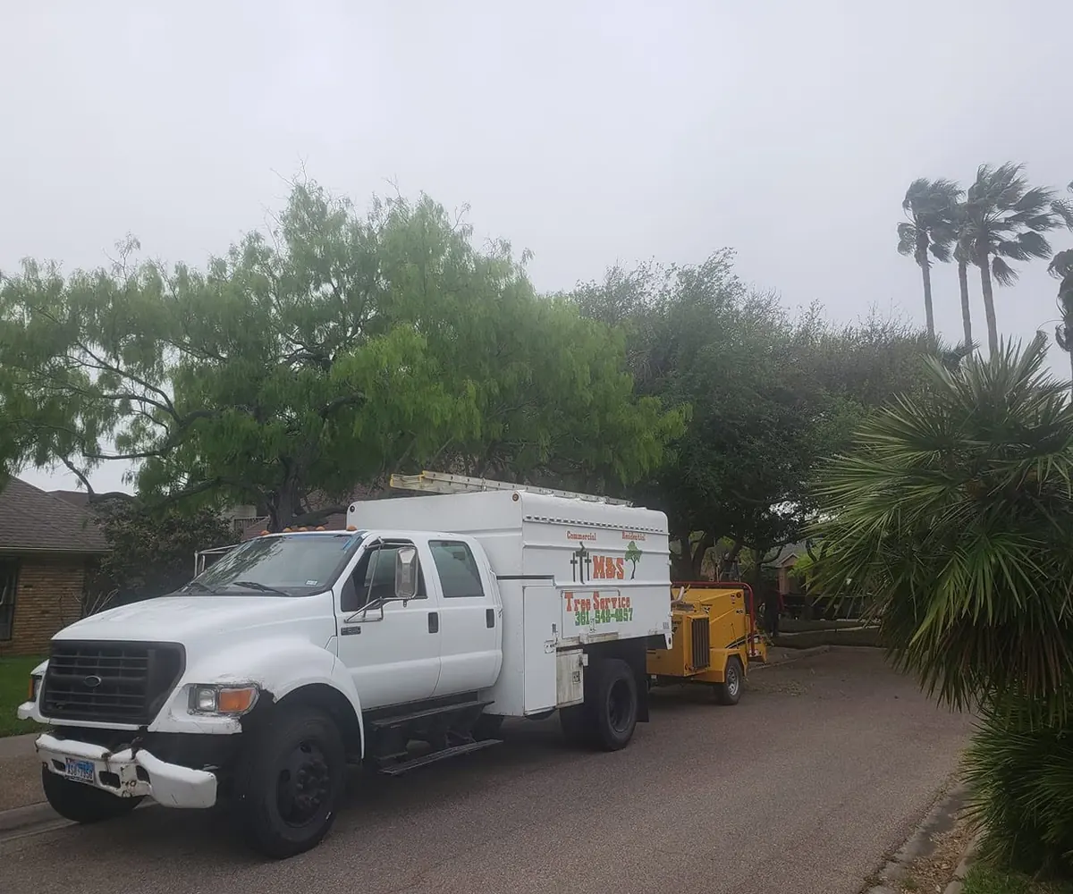 M&S chip truck and chipper on a foggy morning