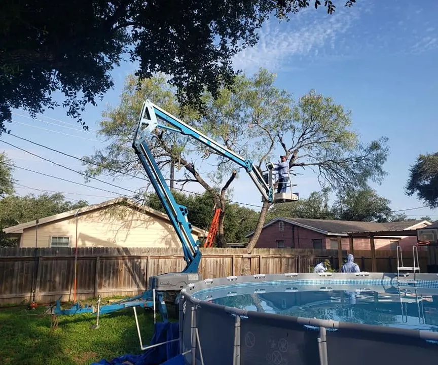 Spider lift reaching a tree over a backyard pool