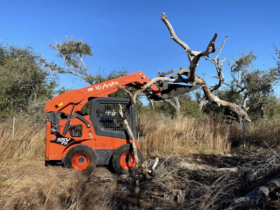 Skid steer clearing brush and dead trees