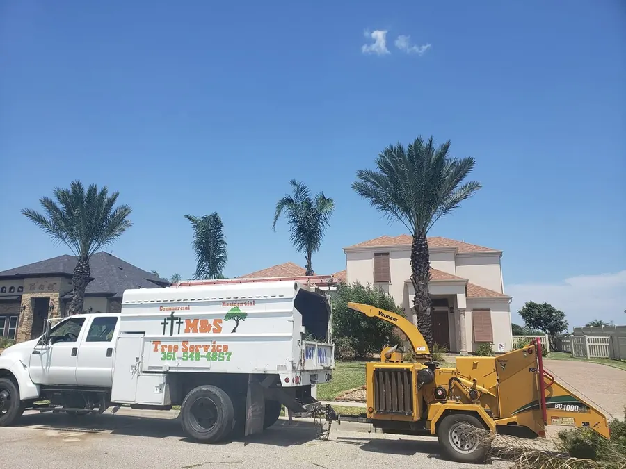 M&S truck and chipper on a palm job