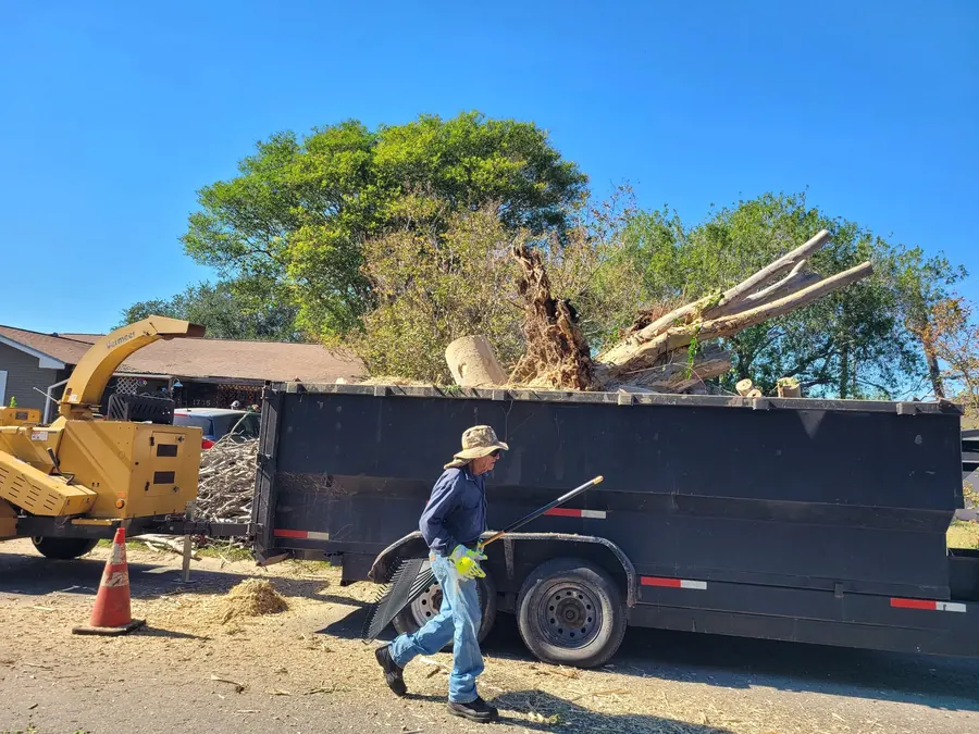 Crew loading brush into the trailer on a removal