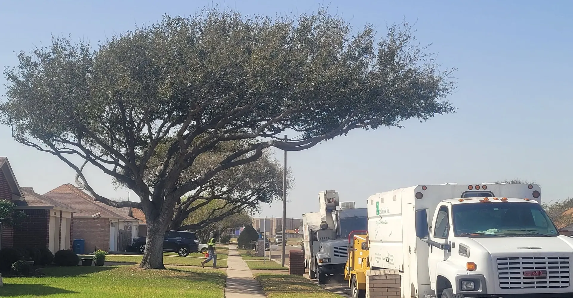 M&S Tree Service on a job