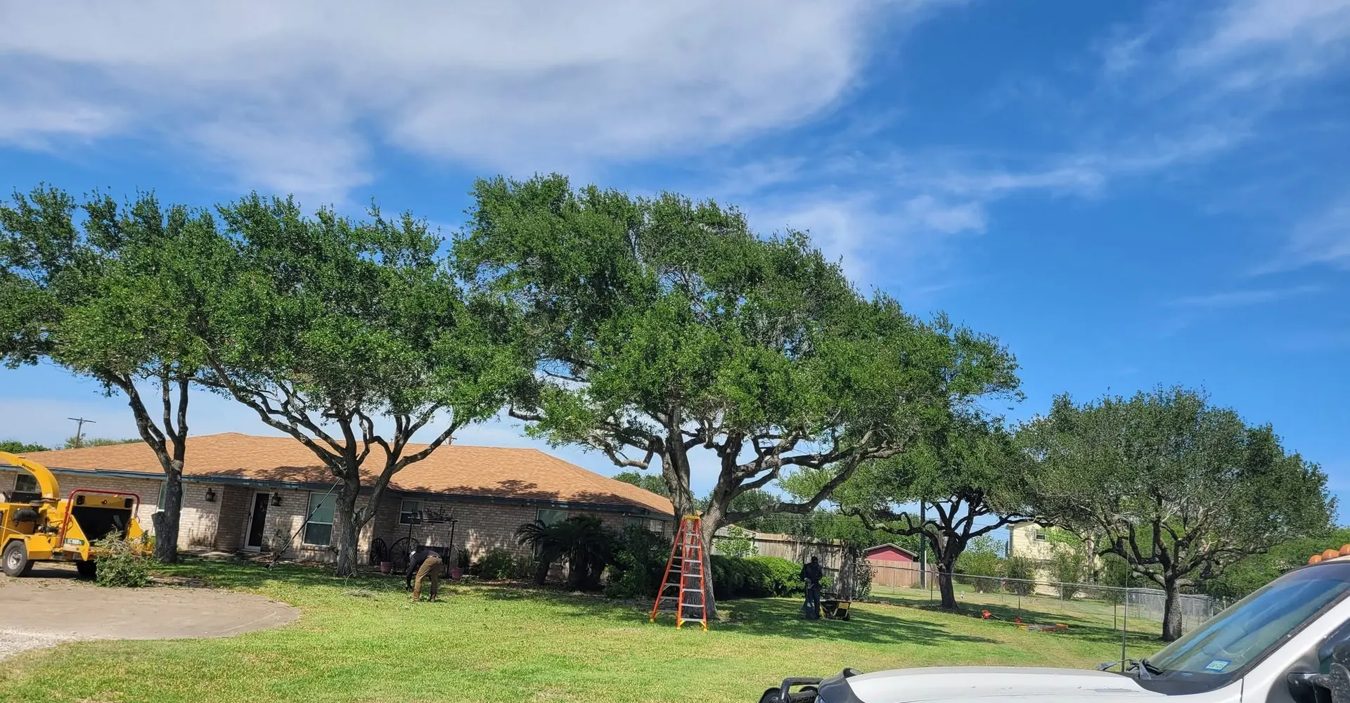 M&S Tree Service on a job