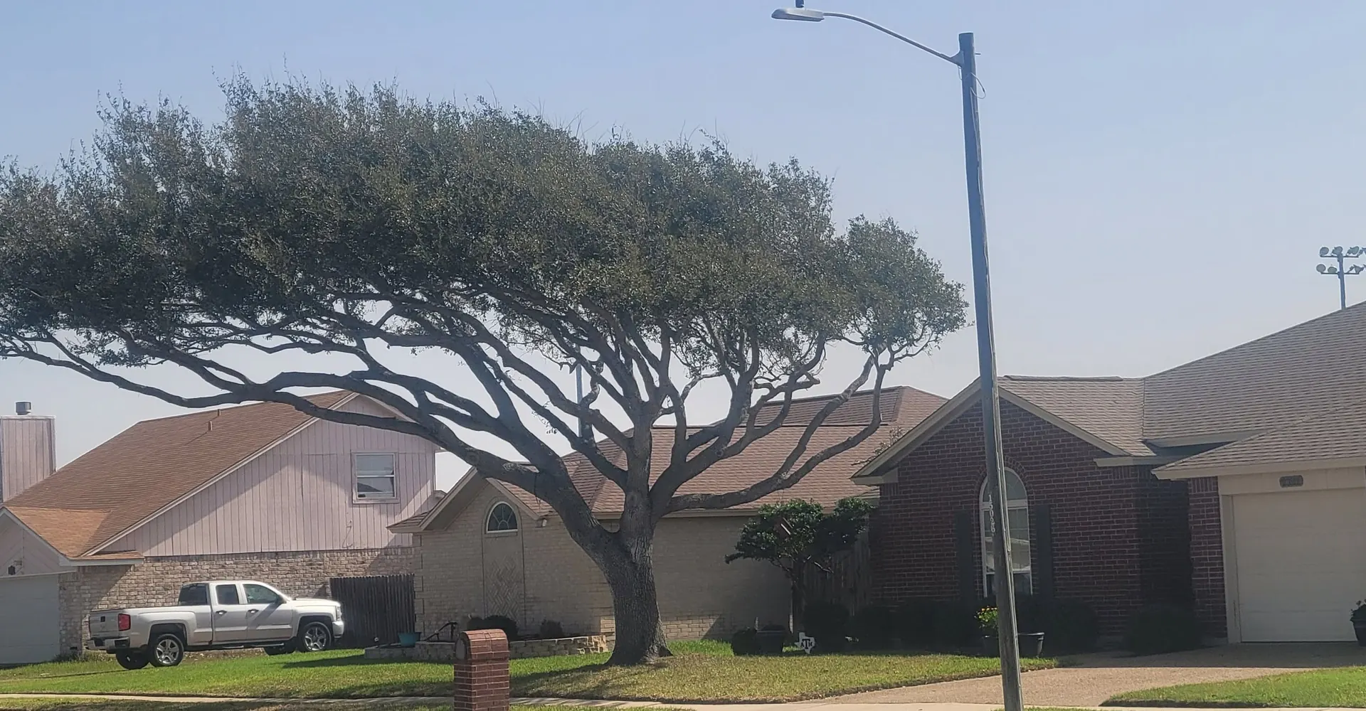 M&S Tree Service on a job